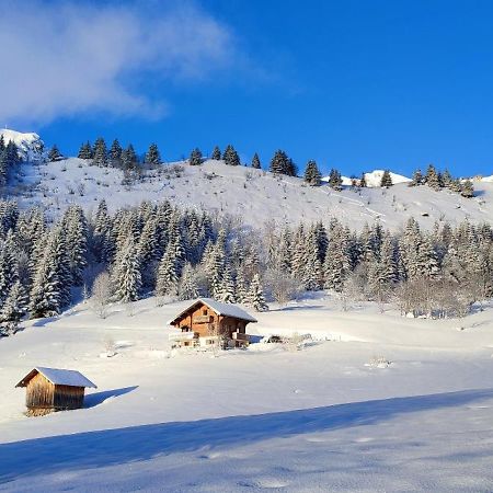 Hotel Le Taconet Le Praz de Lys Exterior foto