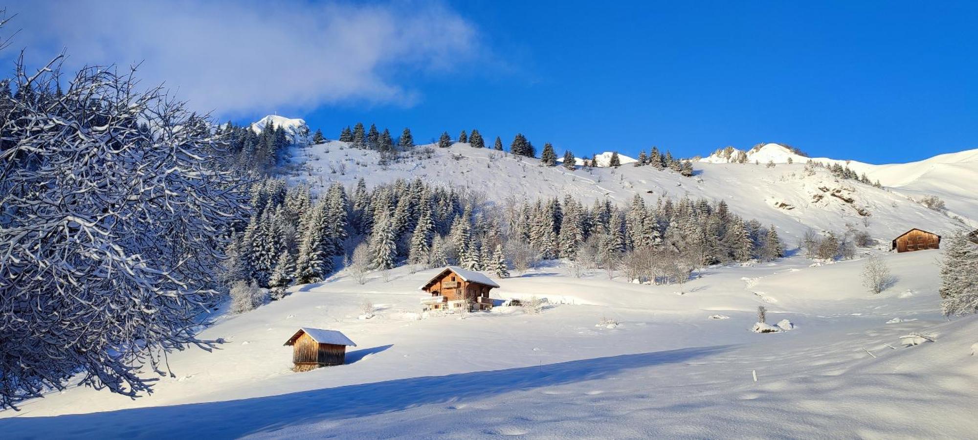 Hotel Le Taconet Le Praz de Lys Exterior foto